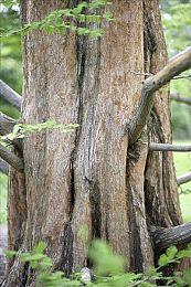 《乐高派对！》公布 4人合作挑战乐高世界